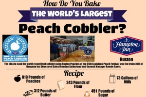 Ruston and the Giant Peach (Cobbler)