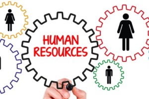Human Resources/Training